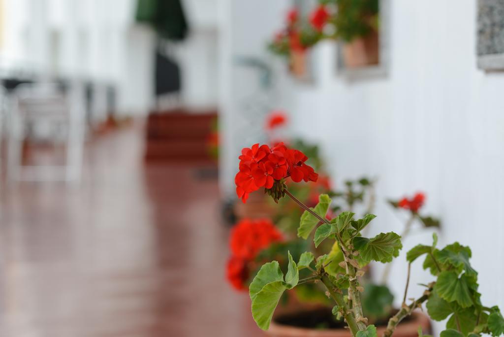 Hotel La Terraza Санхенхо Экстерьер фото